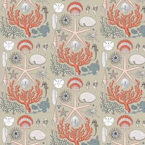 Beachcombers - a CS&Co wallpaper by the artist Joh Del of hand drawn beach treasures, coral, pebbles
