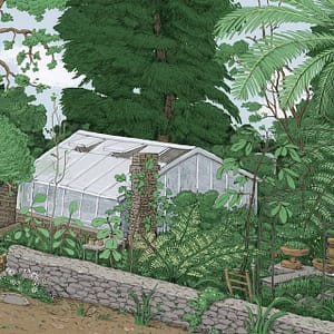 Montebello - a CS&Co wallpaper by artist Joh Del of a hand drawn greenhouse surrounded by a green forest