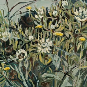 Protea Scolymocephala - a CS&Co wallpaper by artist Hermien van der Merwe, painted colourful flowers