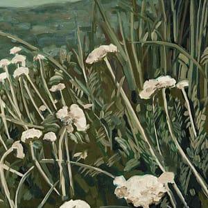 White Helichrysum on the Mountain - a CS&Co wallpaper by artist Hermien van der Merwe, painted flowers and fynbos