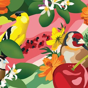 Finches - a CS&Co wallpaper by artist Kipper Millsap, a colourful graphic wallpaper made up of finches and fruit